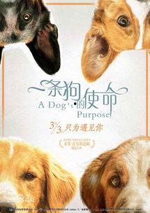 娱乐吃瓜酱去世的小狗